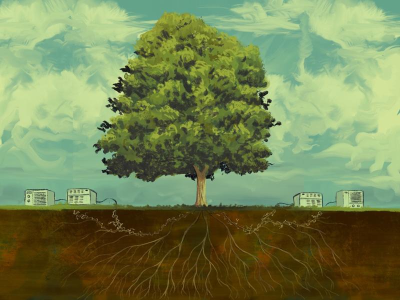 anthropocene reviewed air conditioning sycamore trees